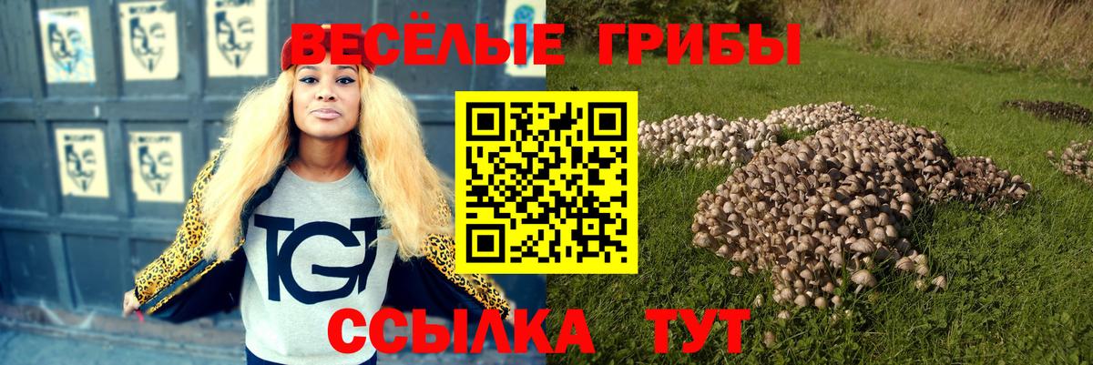 Галлюциногенные грибы Psilocybine cubensis  Вход с VPN  Псилоцибиновые грибы прущие грибы  Похвистнево 